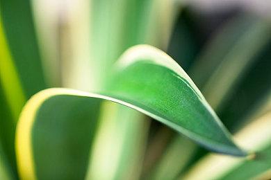 国产爽游《命运英雄》春促活动，今日起正式开启！